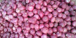 Red Onion