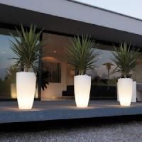 Outdoor Lights