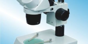 Stereo Microscope
