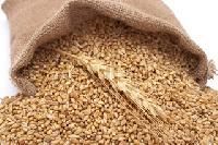 Wheat Bags