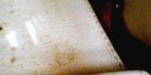 Polyester Sofa Cover 02