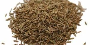 Cumin Seeds