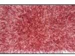 Shaggy Carpet (03)