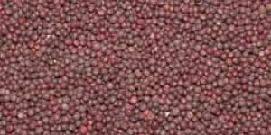 Mustard Seeds