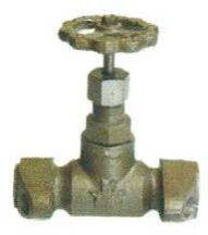Globe Valve