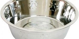 Embross Stainless Steel Pet Bowl