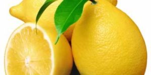 Fresh Lemon