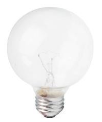 Globe Light Bulb