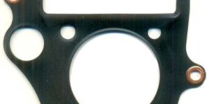 Coated Stainless Steel Head Gaskets for Passion Pro