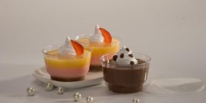 Plastic Mousse Cups