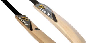 English Willow Cricket Bat