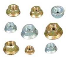 Flange Nuts