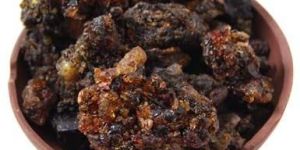 Commiphora Mukul, Guggul