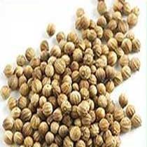 Coriander Seeds
