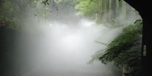 Misting System