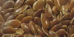 Linseed