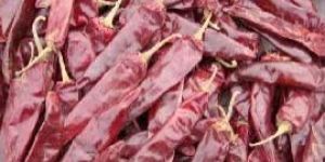 No. 5 Dry Red Chilli