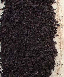 Vermicompost