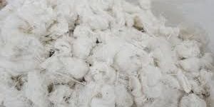 Cotton Yarn Waste