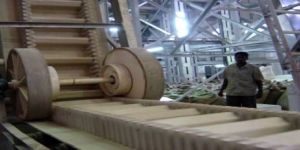 Food Grade Conveyor Belt