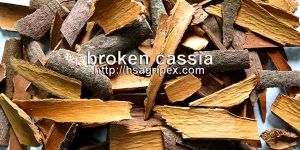 Broken Cassia