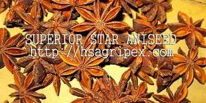 Broken Star Aniseed