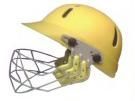 Cricket Helmet