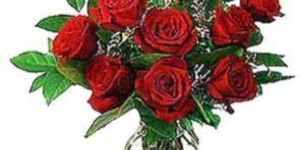12 Red Rose Flower Bouquet