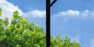 Solar LED Street Light