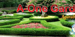 a One Garden Incense Sticks