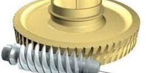 Worm Gear
