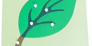 Leaf Puzzle