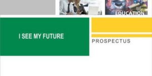 Printed Catalog, Printed Brochures