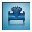 T Strainers