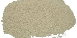 Dehydrated Garlic Powder