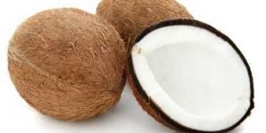 Coconut