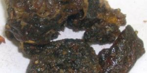 Guggal (Commiphora Mukul )