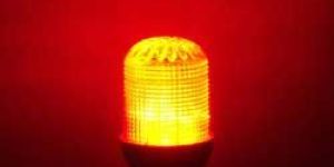 Wine Red Decorative Light