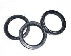 Oil Seals