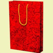 Printed Paper Carry Bag