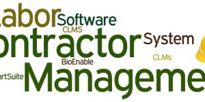 Contract Labor Management System