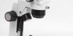 Stereo Microscope