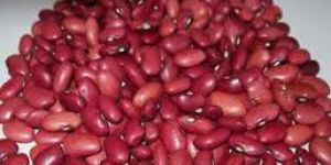 Kidney Beans