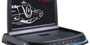 Roof Mount DVD Players