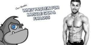 Whey Proteins