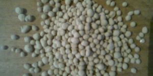 Bio Organic Compost Fertilizer