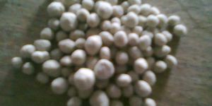 Bio Organic Granular