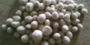 Bio Organic Granular Fertilizer