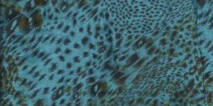 Animal Printed Stole