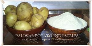 Potato Powder